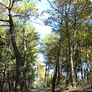 한반도면사무소 이미지