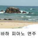 바디네리