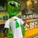 보고세탁소 이미지