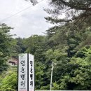 엄둔밸리 | 영월계곡펜션 * 올해 첫 계곡, 영월캠핑장 엄둔밸리