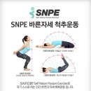 경기도 고양시 일산 탄현동 주민자치센터-SNPE 바른자세 척추운동 이미지