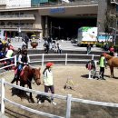 왕십리광장 이미지