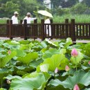 연꽃어린이공원 이미지
