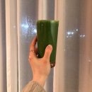 건강하개 먹개 | [일상] 홀즈와 그룬이