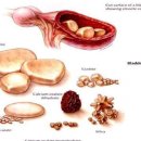 남창미르동물병원 이미지