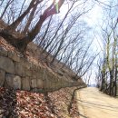 야생초마을아미골 이미지