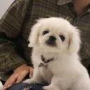 몽타운 이미지