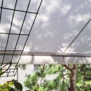 동광로24길 13 이미지