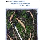 횡성 수농장 이미지