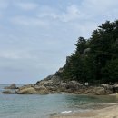 고성 탑벨리 가든 | 강아지 동반 강원도 여행 먹거리 및 관광 코스 추천 (속초 - 고성 - 양양) 2편
