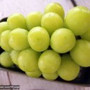 장일농장 이미지