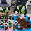 문산읍-1 이미지