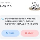 기후행동 기회소득 퀴즈 정답 7월 15일 이미지