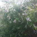 호운농장 이미지