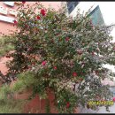 일곡한방병원 이미지