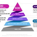 운암튼튼병원 이미지