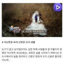 새방골산방 이미지