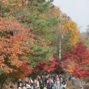 산복약수터 이미지