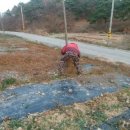 개맥이공원 이미지