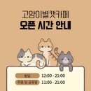 고양이별 캣 카페 이미지