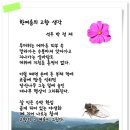 한여름의 고향 생각 이미지