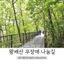 왕배산 체육공원(체육2호) | 화성 동탄 등산 가볼만한곳 : 왕배산 1호공원 무장애 나눔길, 완벽한 배리어 프리