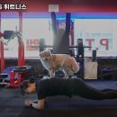 슈퍼스타S 휘트니스 이미지