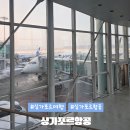 썬랜드항공여행서비스 | 싱가포르 여행 : 싱가포르항공 항공권 가격 엄마랑 4박5일여행 (탑승후기/SGAC작성/공항픽업,마중서비스)