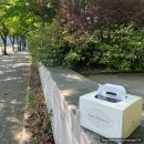 파리크라상파리크라상연세주 | [파리크라상] 딸기 타르트 솔직후기