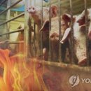 김동철농장 이미지