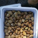 다사항펜션 이미지