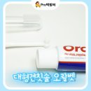 더케어벳 | 대형견 칫솔방법 치석제거방법 강아지 치석 페노비스 오랄벳 후기