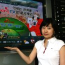 하나정보 이미지