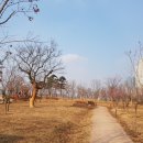 동탄 여울공원 축구장 이미지