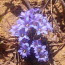 원동2리 마을회관 이미지