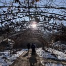 영하목장 | 2] 강원도 겨울여행지 추천 체험하며 즐기는 “해피초원목장”🐏🐂🦆🐶, 허영만의 식객 매운탕 맛집 “춘천호”