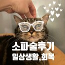 철산하늘약국 | [소파술 10일차 후기] 몸상태, 음식, 술, 맥주, 일상생활, 마음가짐