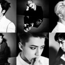 더독스 미니 이미지