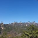 장미동산(좌) 이미지