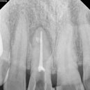 셀렉트디 이미지