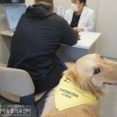 미소동물의료센터 이미지