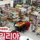 링크애견샵 이미지