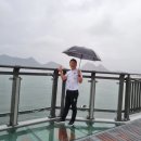 군산박대삼촌 이미지