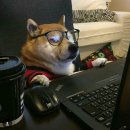 비티바이오테라퓨틱스 주식회사 | [공모주] 카나프테라퓨틱스 공모주 한국투자증권 청약 정보, 신청방법 총정리