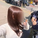 샘 미용실 | 범계미용실 어벤베이지 애쉬브라운 염색 후기(효진디자이너샘)