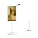 커넥트뎁스 이미지