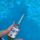 순천만 그리고 나 이미지