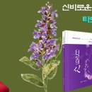 타로로 읽는 하루 이미지