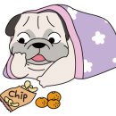 개똥이네캠핑장 이미지