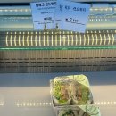 해월당 강동점 이미지